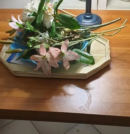Casa Vacanze Cagliari Homestay Cagliari