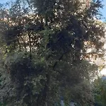 Casa Vacanze Cagliari Rum i privatbostad *