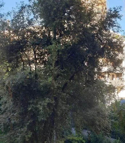 Casa Vacanze Cagliari ホームステイ *