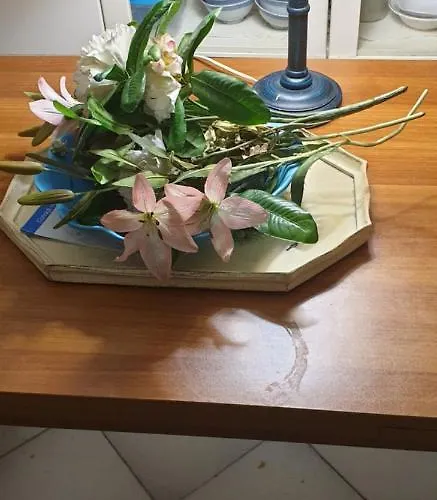 Casa Vacanze Cagliari ホームステイ カリアリ